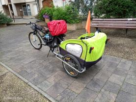 Service aide aux courses