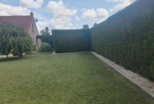 Location autre