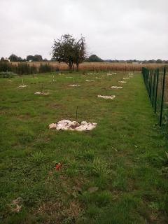 Location jardin potager