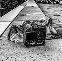 Service photographie