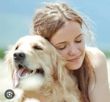 Service chien