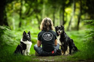 Service promeneur chien