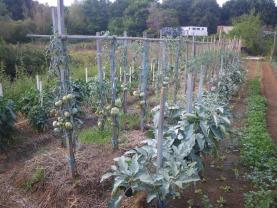 Service jardinage
