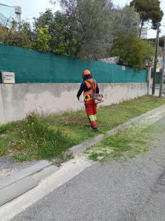 Location debroussailleuse
