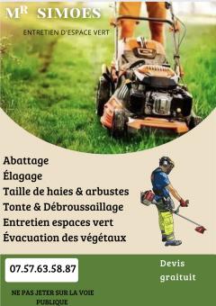 Service entretien espace vert