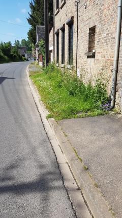 Service entretien espace vert