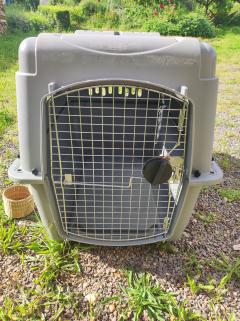 Location cage transport animaux