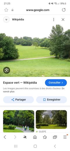 Service entretien espace vert