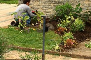 Service entretien jardin