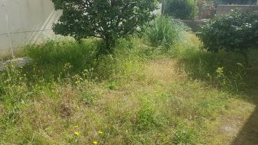 Service entretien jardin