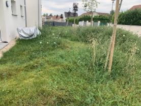 Service entretien jardin