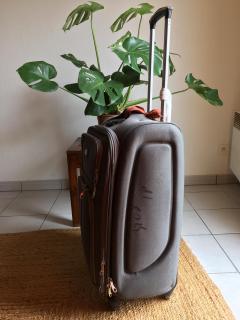 Location valise