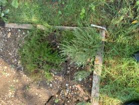 Service jardinage