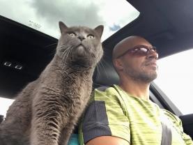 Service garde animaux
