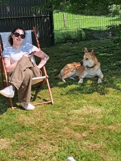 Service garde animaux
