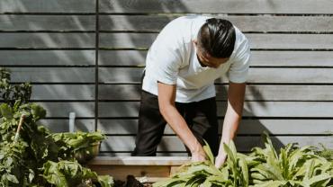 Service entretien espace vert