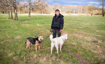 Service promeneur chien