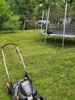 Service tonte de pelouse