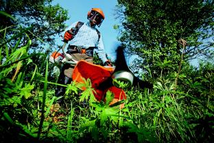 Service jardinage