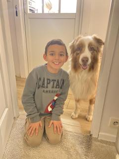 Service chien