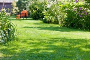 Service entretien espace vert