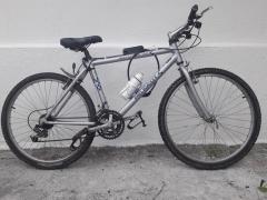 Location velos