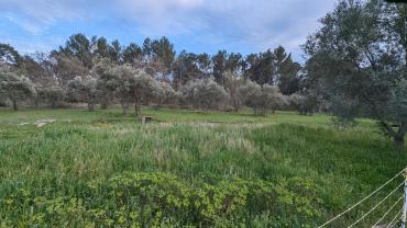 Location jardin potager