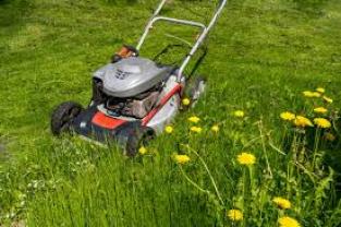 Service entretien jardin