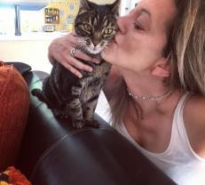 Service garde animaux