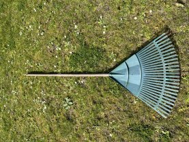 Service entretien jardin