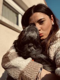 Service garde animaux