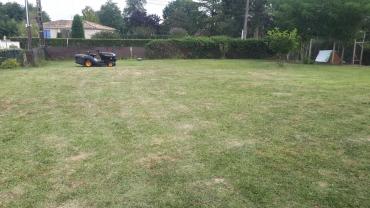 Service entretien jardin