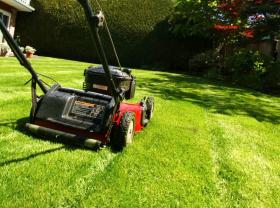 Service entretien jardin