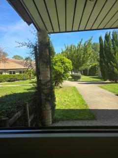 Service entretien espace vert