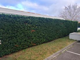 Service entretien espace vert