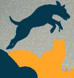 Service garde animaux