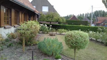 Service entretien jardin