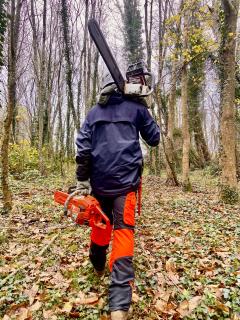 Service coupe de bois