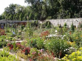 Location jardin potager
