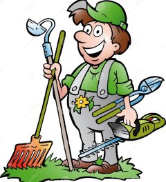 Service entretien jardin
