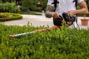 Service entretien jardin