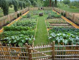 Location jardin potager