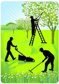 Service entretien espace vert