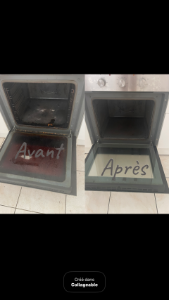 Service aide menagere