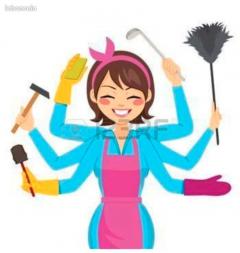 Service aide menagere