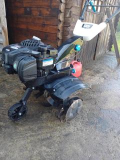 Service entretien jardin