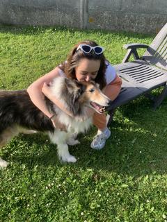 Service promeneur chien