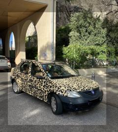 Location voitures