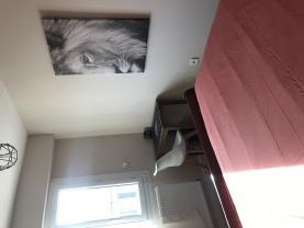 Location colocation appartement