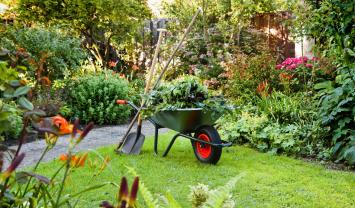 Service entretien jardin